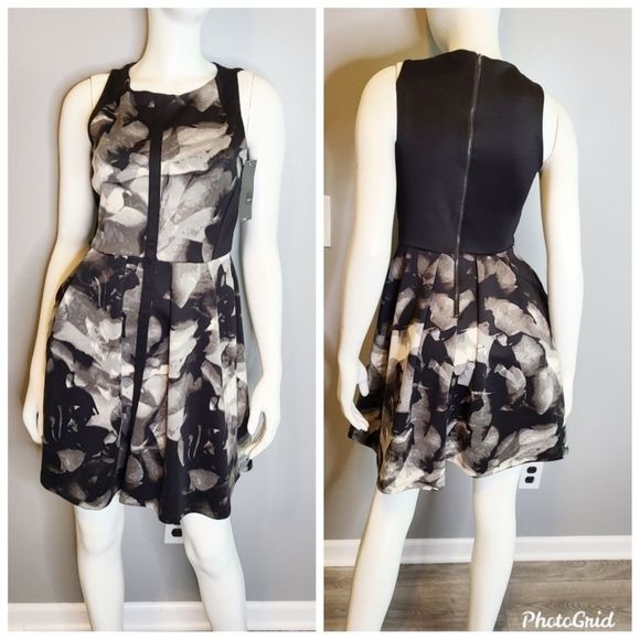 New with Tags Floral Fit and Flair Dress XS - Picture 2 of 11